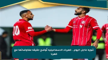 تنويه عاجل اليوم.. كهرباء الإسماعيلية تُوضح حقيقة مفاوضاتها مع كهربا